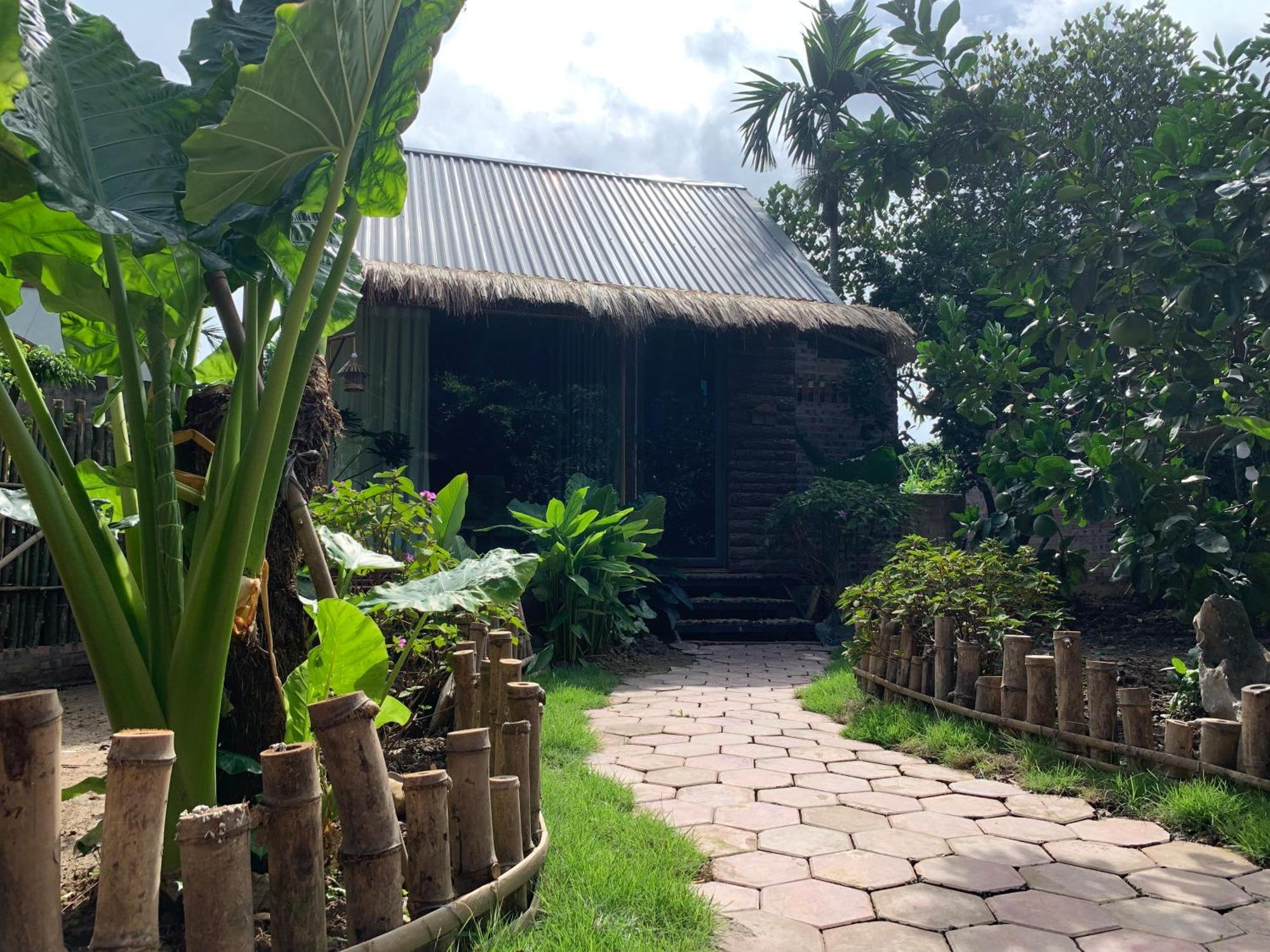 Peaceful Refuge Homestay Ninh Binh Exterior foto